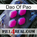 Dao Of Pao 02